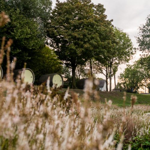 Das Foto zeigt das Röhrenhotel parkhotel im Bernepark in Bottrop