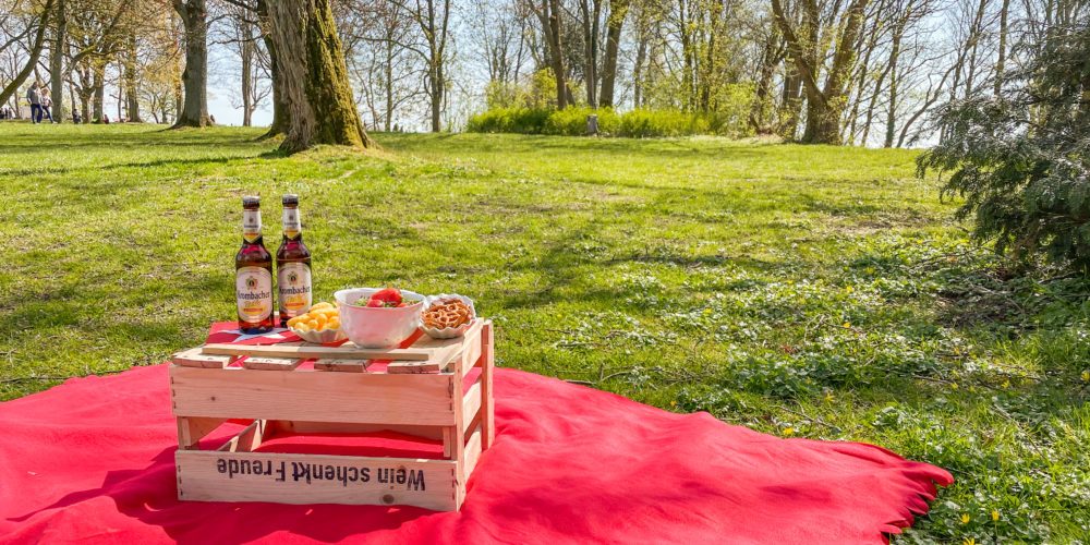 Das Bild zeigt eine Picknickdecke mit Korb