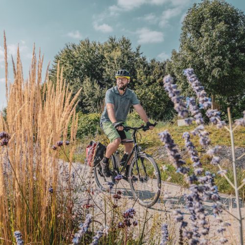 Das Bild zeigt einen Mann auf dem Fahrrad in Gelsenkirchen radrevier ruhr