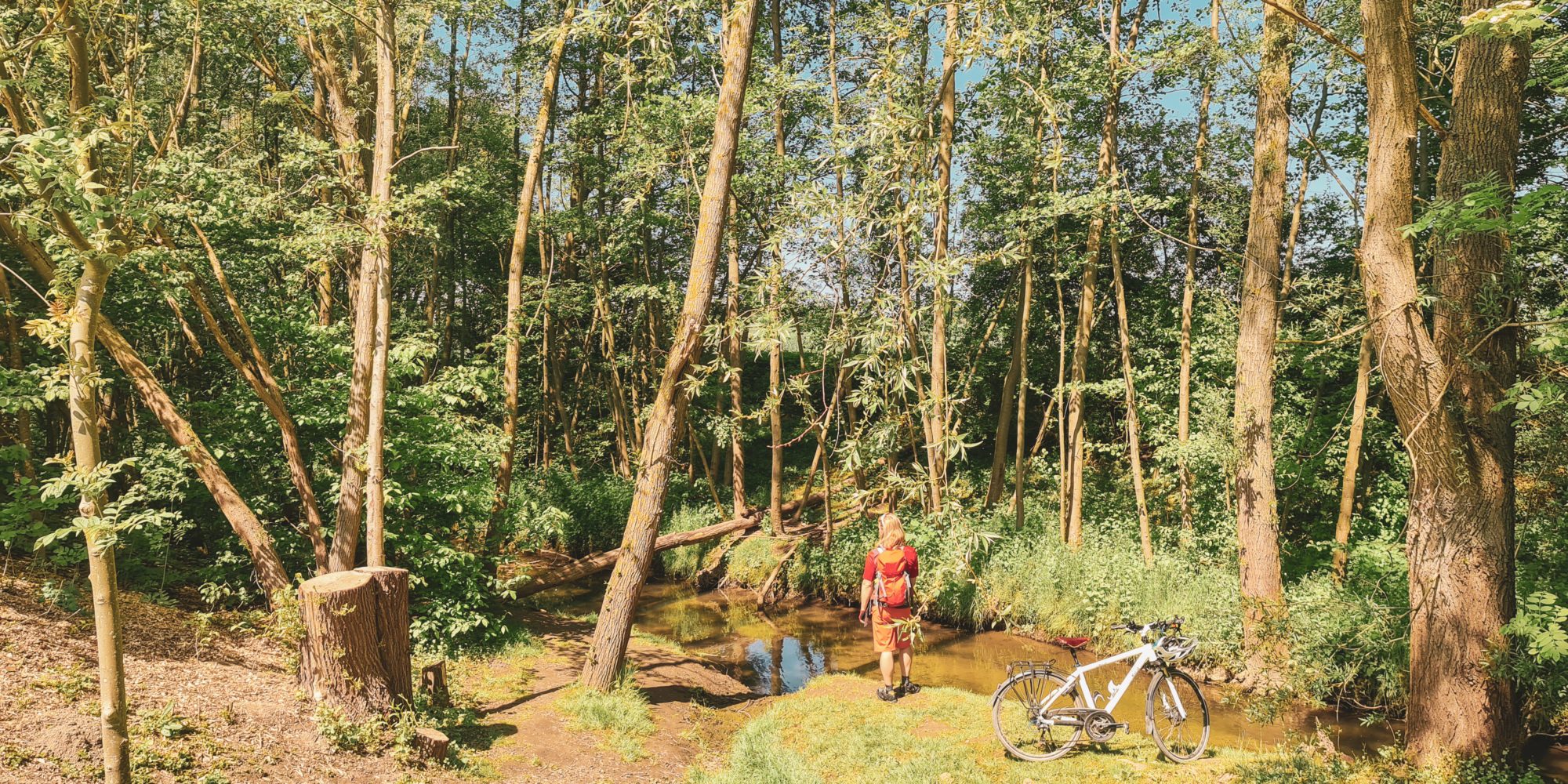 Das Foto zeigt einen Radfahrer an der Körne in Dortmund