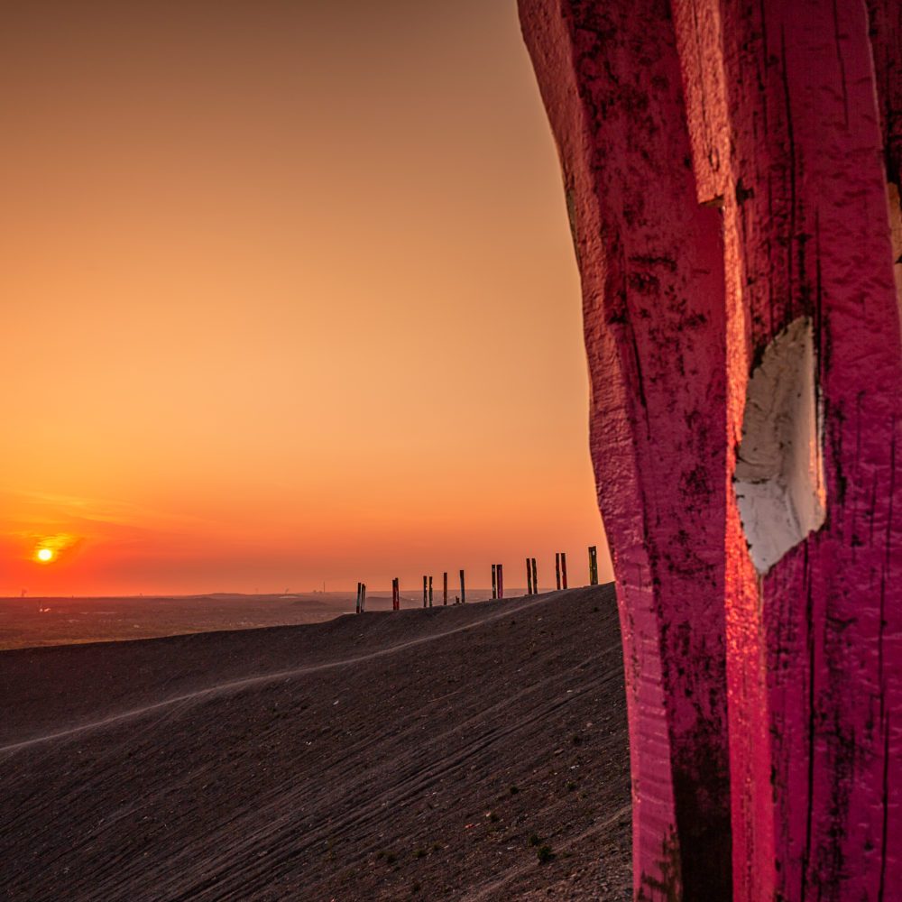 Das Foto zeigt die Halde Haniel in Bottrop im Sonnenuntergang