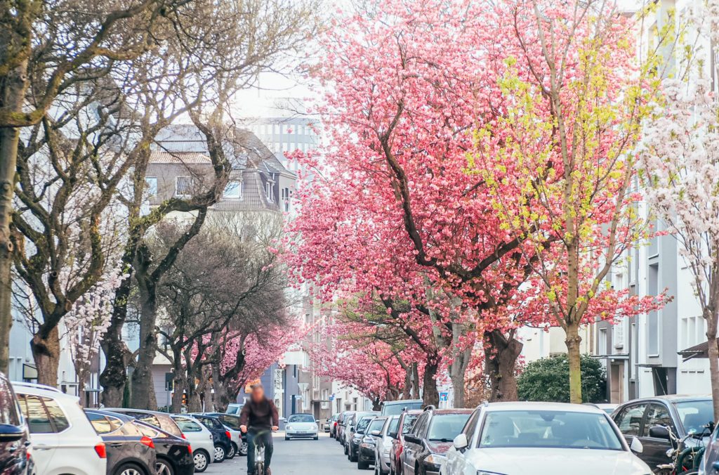 Das Bild zeigt das Saarlandstraßenviertel in Dortmund