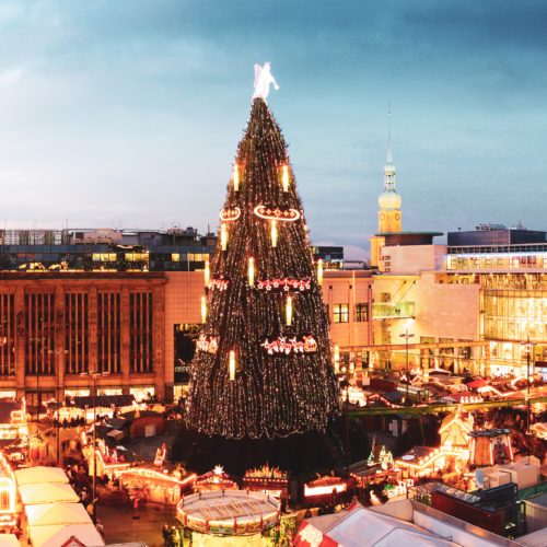 Das Foto zeigt den großen Weihnachtsbaum auf dem Weihnachtsmarkt Dortmund